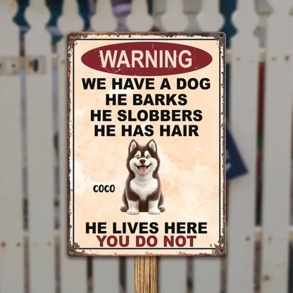 684664c843fc7_large