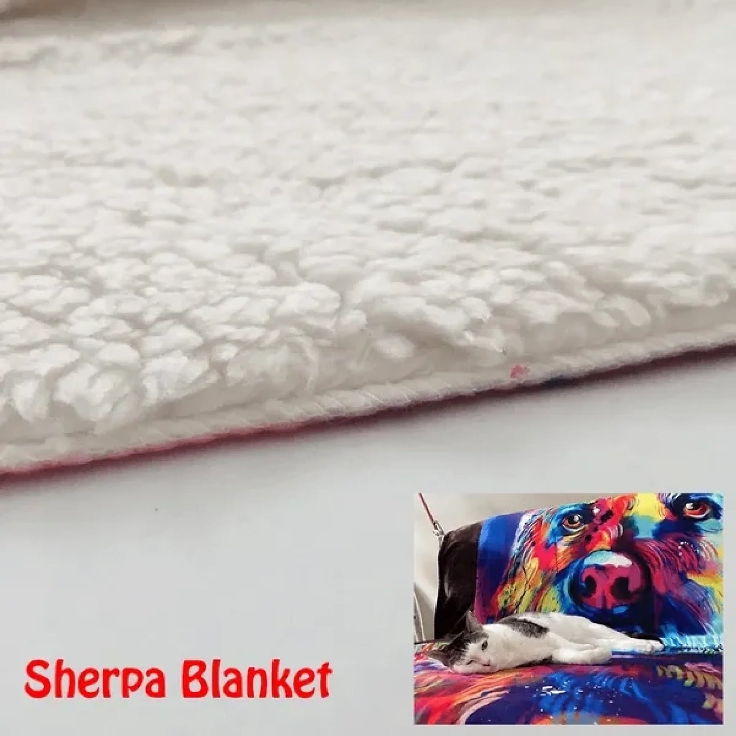 6515020558748_large